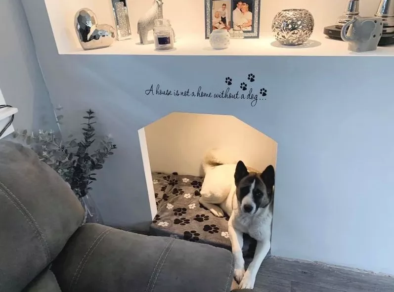 LLJ Construction (20)